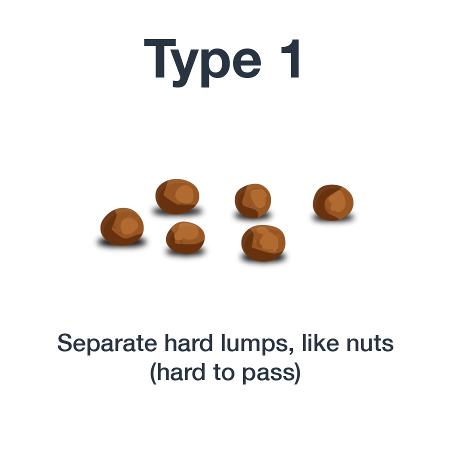 Bristol Stool Chart Type 1